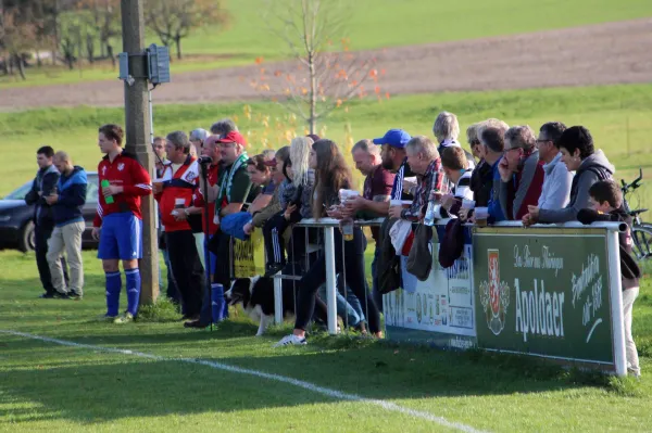 12. Spieltag: SV Gleistal : SV Moßbach