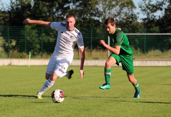 Test SVM I - VfB Mühltroff 3:1 (2:0)