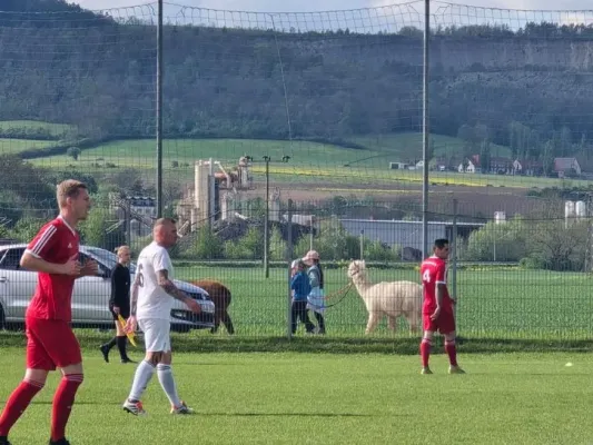 22. ST: SV Rothenstein - SVM 5:2 (H: 3:0)  Teil II