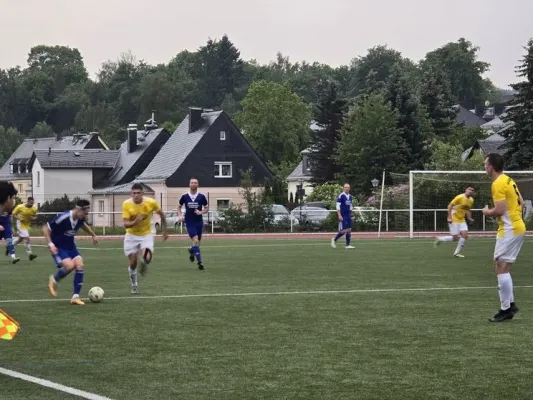 25. ST: VfR Bad Lobenstein II - SVM 3:3 (H: 2:0)