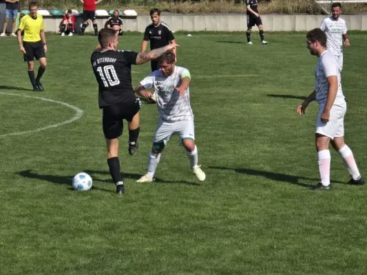 4. ST: SGM - Täler SV Ottendorf 5:0 (H: 2:0)