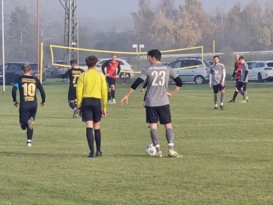 12. ST: TSV Königshofen - SGM 2:0 (H: 2:0)