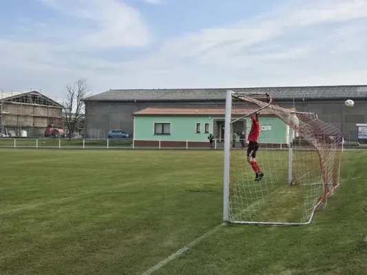 12. ST: TSV Königshofen - SGM 2:0 (H: 2:0)