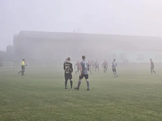 12. ST: TSV Königshofen - SGM 2:0 (H: 2:0)