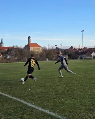 14. ST: SV Frauenprießnitz - SGM 0:3 (H: 0:0)