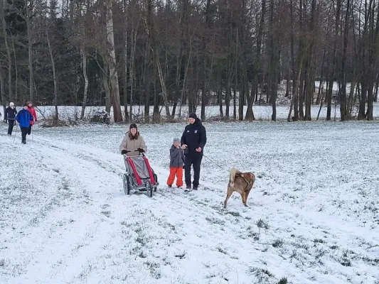 3. Neujahrslauf 