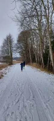 3. Neujahrslauf 