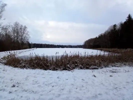 3. Neujahrslauf 